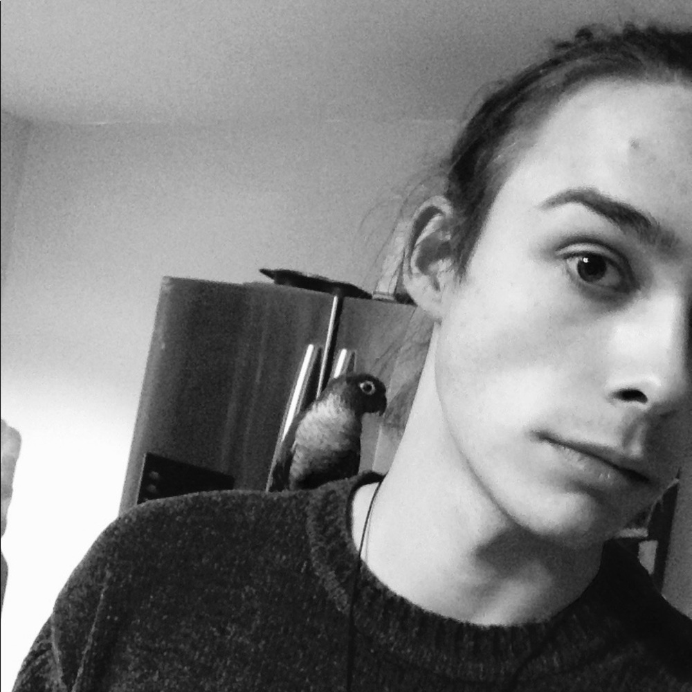 Meet your Posher, Dylan